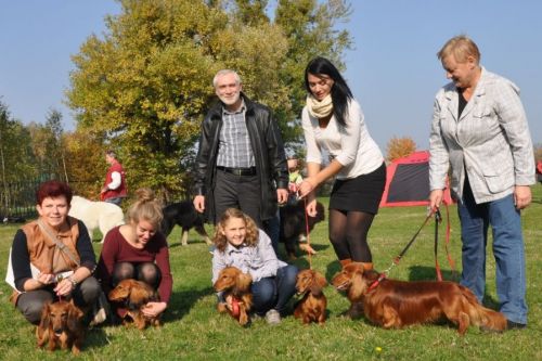 Pi�ta, wsp�lna wystawa NA’ILI, NABILI, NURIEGO, NASIMA i SHEMSU Kollapsar